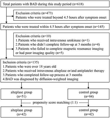 Efficacy and Safety of Intravenous Thrombolysis on Acute Branch Atheromatous Disease: A Retrospective Case–Control Study